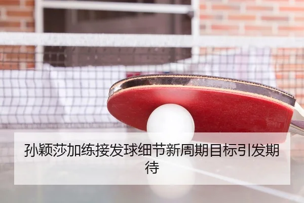 孙颖莎加练接发球细节新周期目标引发期待
